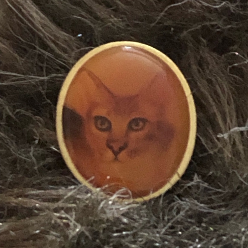 Vintage glaring cat resin coated tac pin